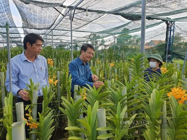 Chuyển đổi số -  nền tảng quan trọng để huyện Mộ Đức (Quảng Ngãi) hướng đến nông thôn mới thông minh - Ảnh 5.