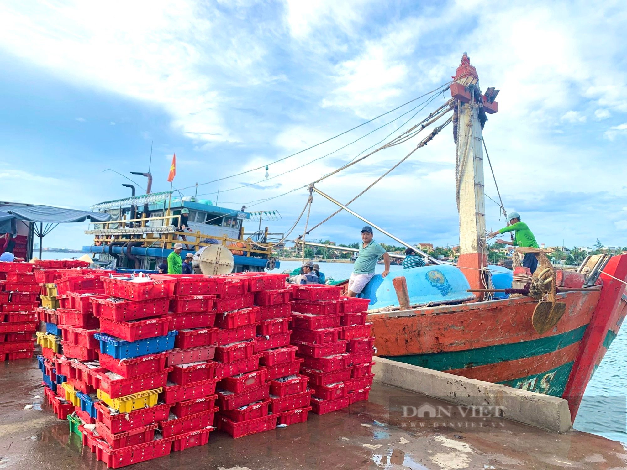 Quảng Bình: Nhiều tàu ra khơi trúng đậm vụ cá ngừ, cá nục thu tiền tỷ mỗi chuyến - Ảnh 2.