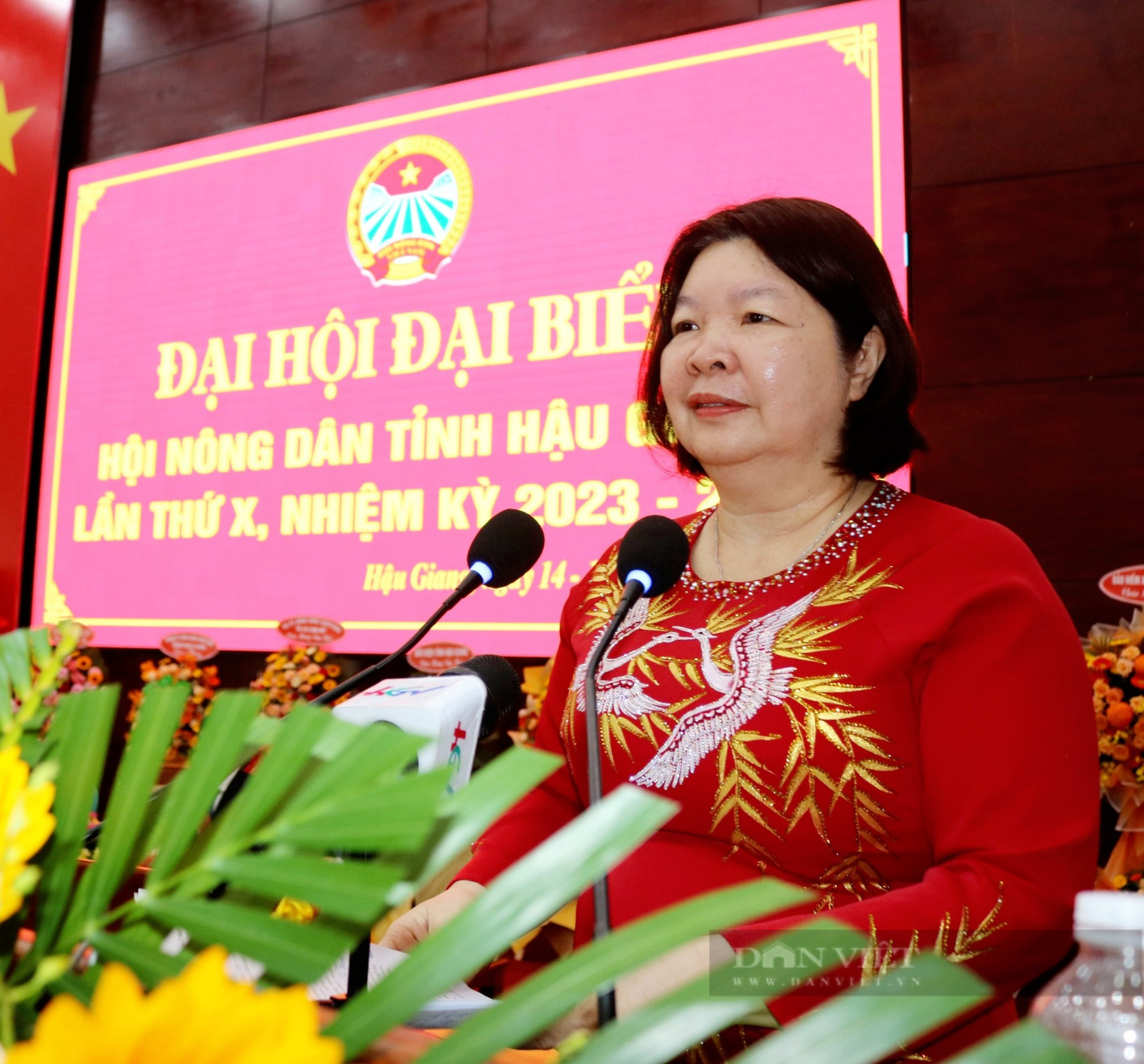 Đại hội Đại biểu Hội Nông dân tỉnh Hậu Giang lần thứ X: Bầu 29 đại biểu vào Ban Chấp hành khoá mới - Ảnh 9.