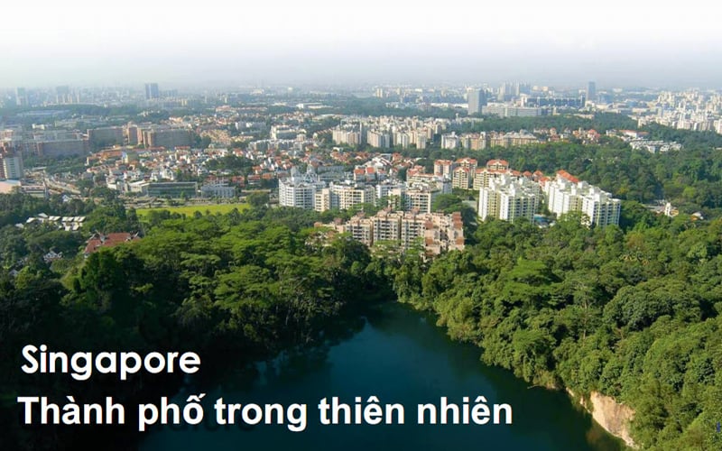 Bình Dương phát triển không gian xanh, cho người dân đô thị đáng sống  - Ảnh 6.