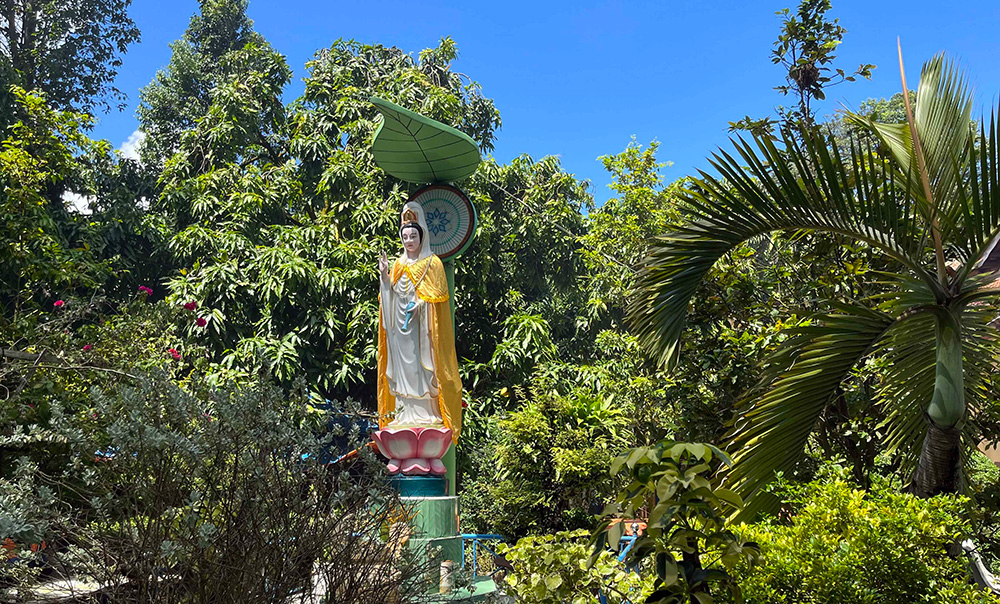 Chùa dơi trên cù lao Ông Hổ - Ảnh 4.