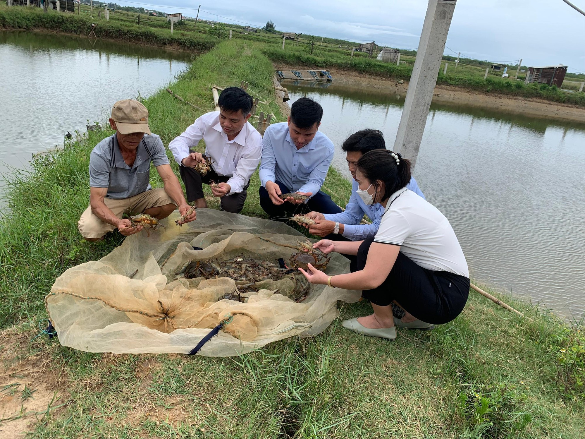 Nuôi tôm chung ao với cua, cá, ở một nơi của Quảng Trị, dân tung chài bắt lên bán, ngày nào cũng ra tiền - Ảnh 1.