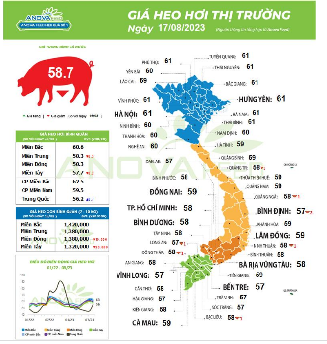 Giá lợn hơi đang ở sườn dốc, đà giảm bao giờ dừng lại? - Ảnh 1.