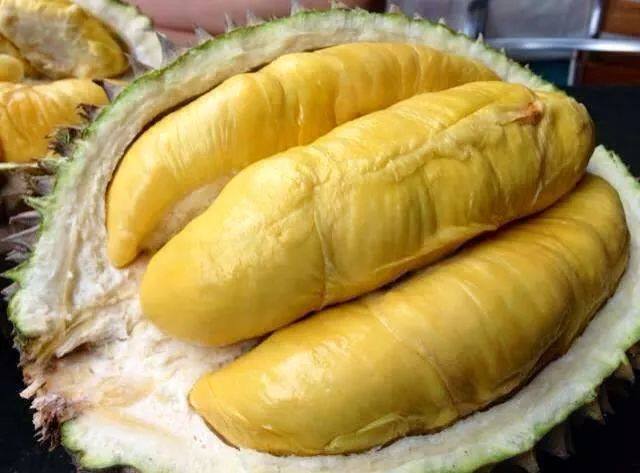 Giá sầu riêng 17/8: Giá sầu riêng giảm toàn vùng - Ảnh 5.