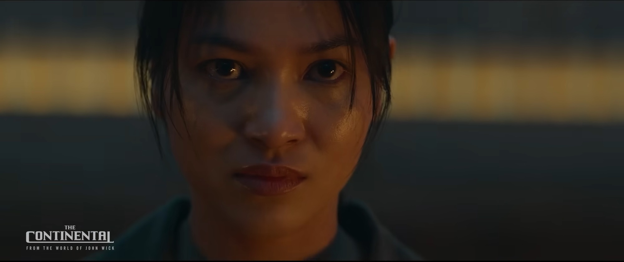 Nhung Kate xuất hiện 4 lần trong trailer &quot;The Continental&quot;, bắt súng, đánh nhau điêu luyện - Ảnh 3.