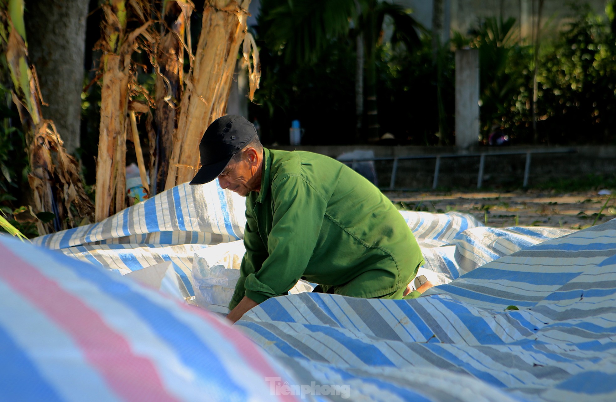 Mỗi gốc cây thu về hàng triệu đồng, người dân Hương Sơn, Hà Tĩnh tất bật thu hoạch loại quả này - Ảnh 7. Mỗi gốc cây thu về hàng triệu đồng, người dân Hương Sơn, Hà Tĩnh tất bật thu hoạch loại quả này - Ảnh 7.
