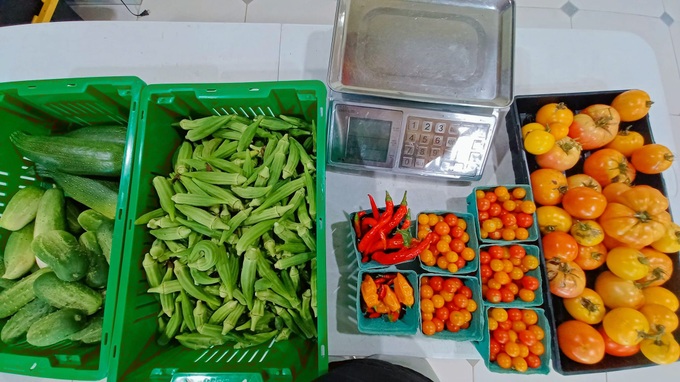Khu vườn đặc biệt của người phụ nữ Việt lấy chồng thuộc bộ tộc kỳ lạ ở Mỹ - Ảnh 12.
