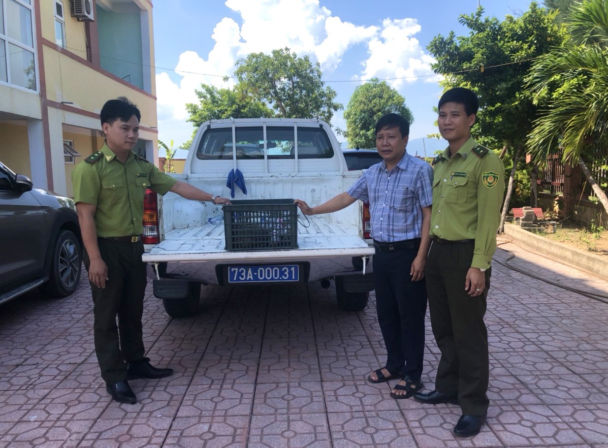 Quảng Bình: Nam shipper phát hiện cá thể tê tê Java quý hiếm sau tiếng động lạ trong thùng hàng - Ảnh 1.