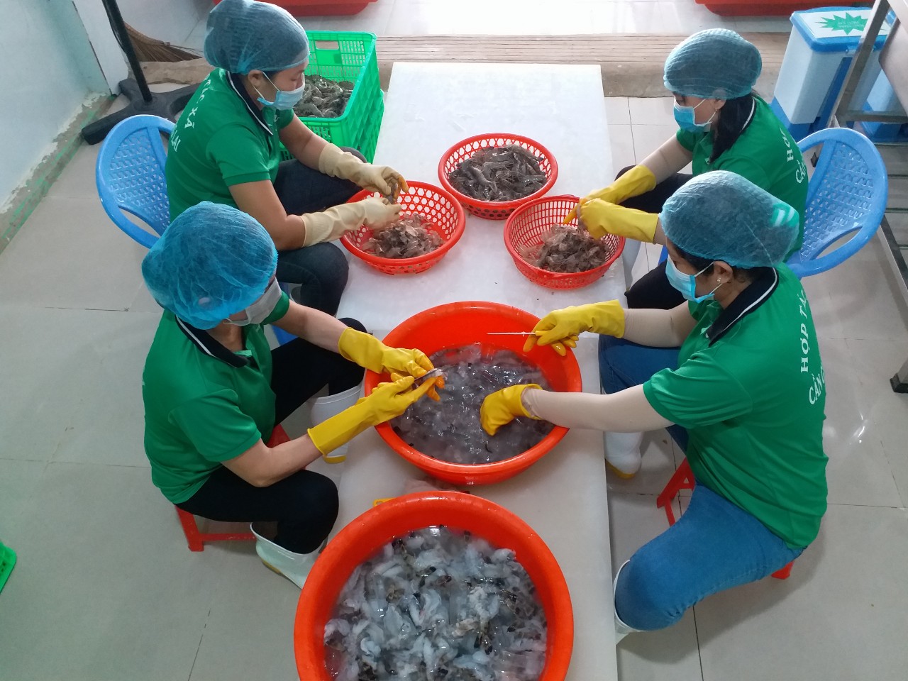 Huyện Cần Giờ chú trọng đào tạo nghề nuôi trồng thủy sản cho lao động nông thôn - Ảnh 1.