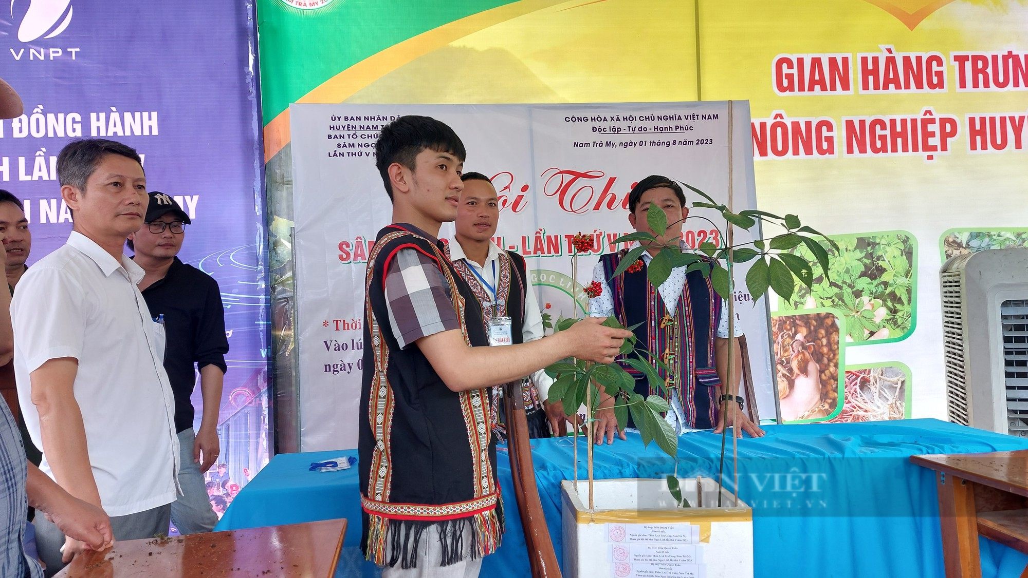 Vùng thủ phủ sâm Ngọc Linh ở Quảng Nam khởi sắc sau 20 năm, mỗi năm có thể thu 600 tỷ đồng - Ảnh 4.