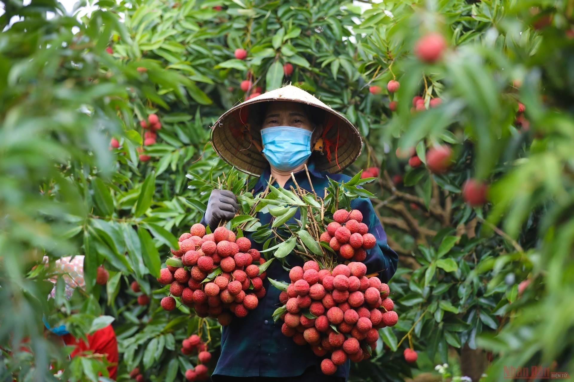Để nâng cao sức cạnh tranh của hàng Việt - Ảnh 1. Để nâng cao sức cạnh tranh của hàng Việt - Ảnh 1.