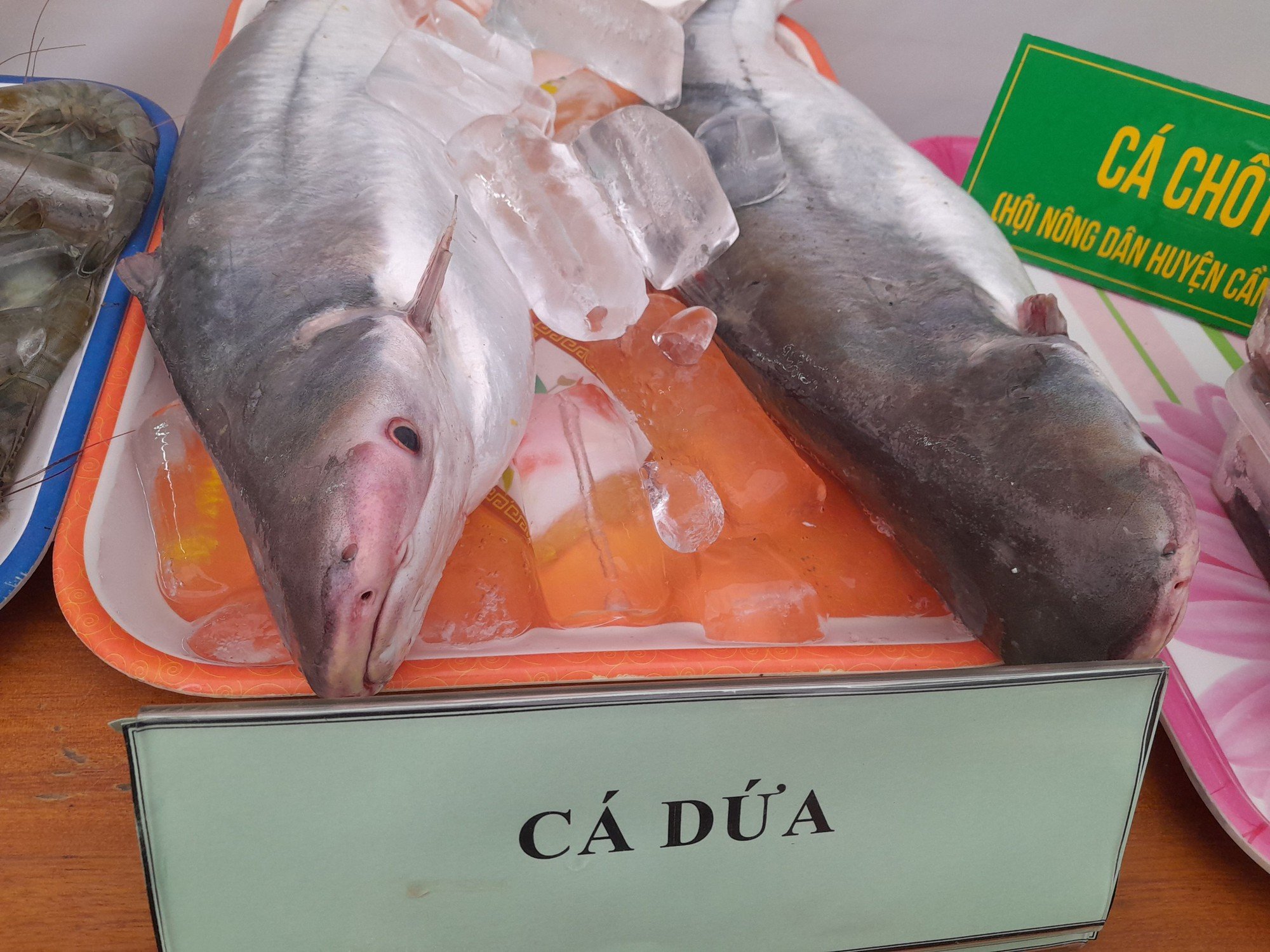 Huyện Cần Giờ chú trọng đào tạo nghề nuôi trồng thủy sản cho lao động nông thôn - Ảnh 3.