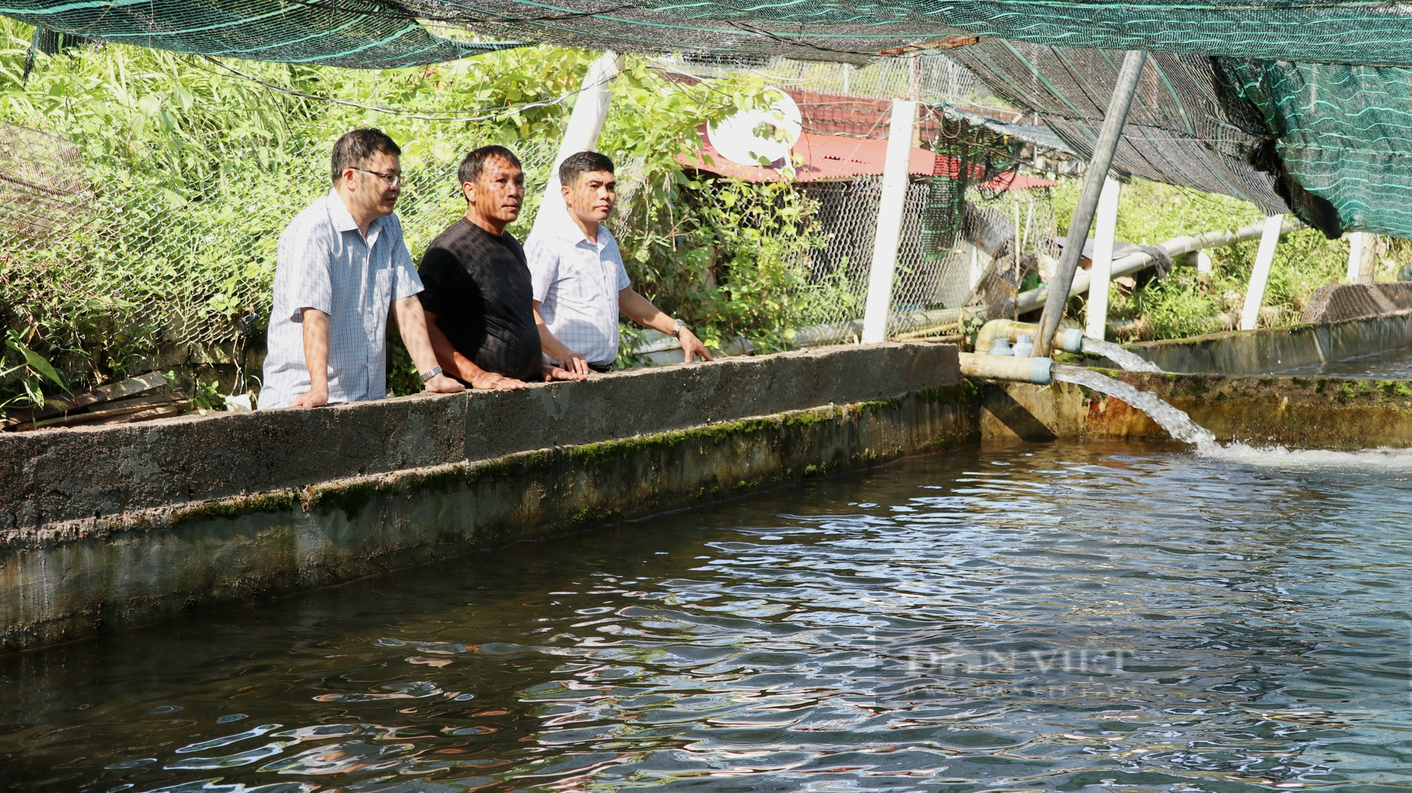 Người tiên phong nuôi cá tầm ở Đam Rông với đàn cá có con 50kg, mỗi năm thu 5 tỷ đồng - Ảnh 1.