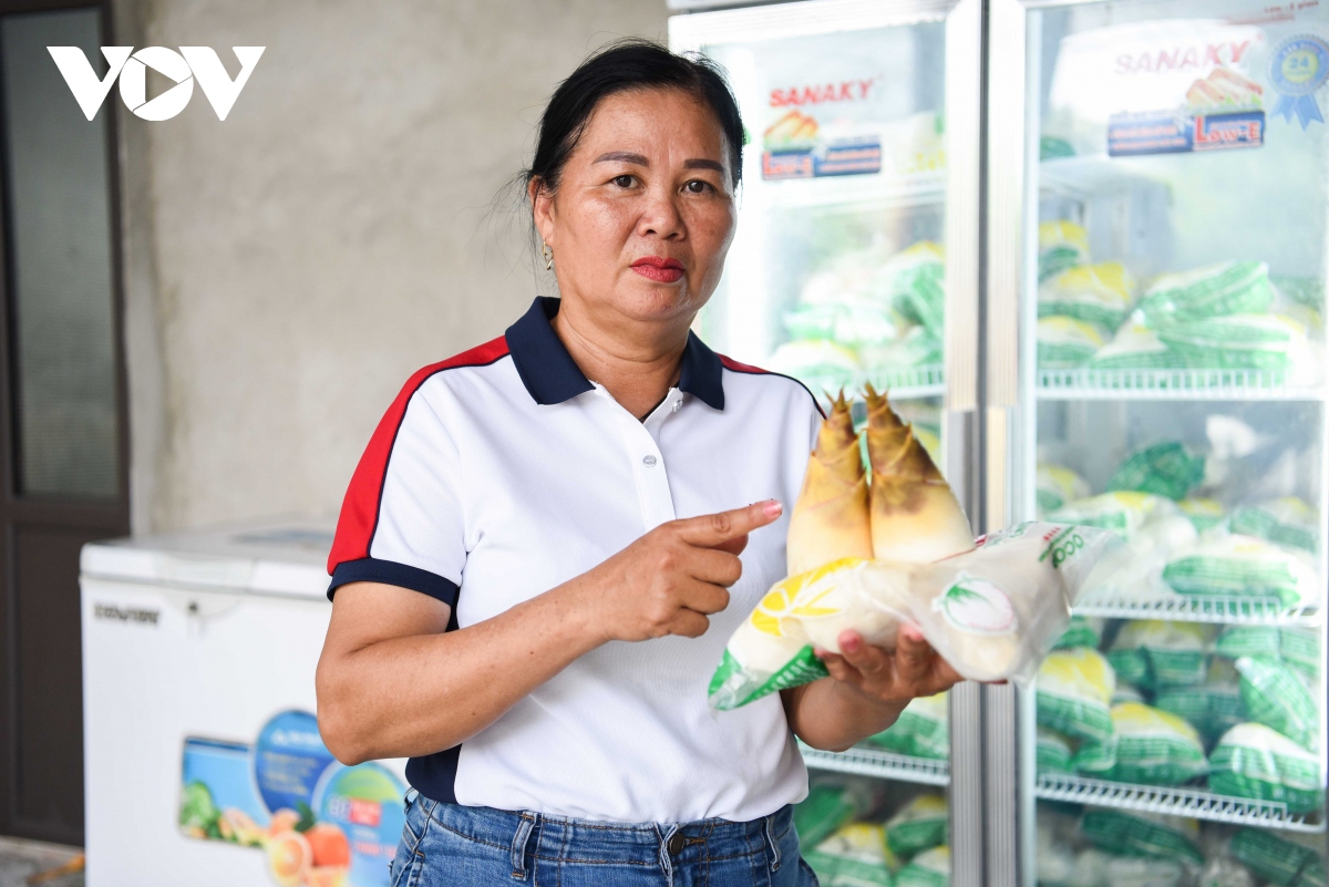 Măng tre thu tới đâu, nhà hàng thương lái 'hốt' hết, dân ở đây thu đều tay hàng triệu đồng/ngày - Ảnh 4. Măng tre thu tới đâu, nhà hàng thương lái 'hốt' hết, dân ở đây thu đều tay hàng triệu đồng/ngày - Ảnh 4.