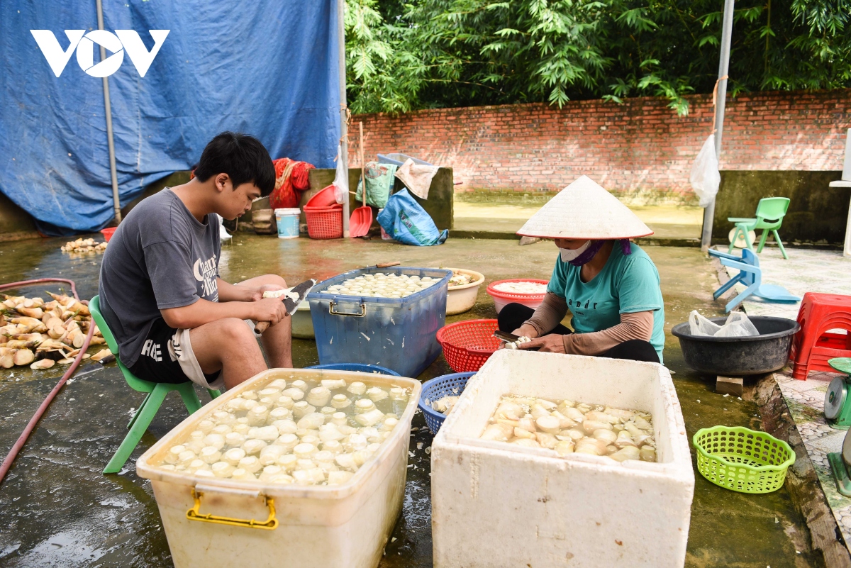 Măng tre thu tới đâu, nhà hàng thương lái 'hốt' hết, dân ở đây thu đều tay hàng triệu đồng/ngày - Ảnh 2. Măng tre thu tới đâu, nhà hàng thương lái 'hốt' hết, dân ở đây thu đều tay hàng triệu đồng/ngày - Ảnh 2.