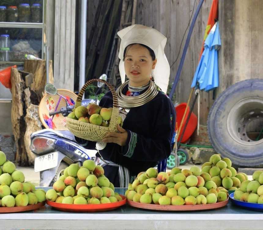 Thứ "quả tiên" của Ngân Sơn, Bắc Kạn thành sản phẩm hàng hóa, ngon thế nào mà du khách mê mẩn? - Ảnh 1. Thứ "quả tiên" của Ngân Sơn, Bắc Kạn thành sản phẩm hàng hóa, ngon thế nào mà du khách mê mẩn? - Ảnh 1.