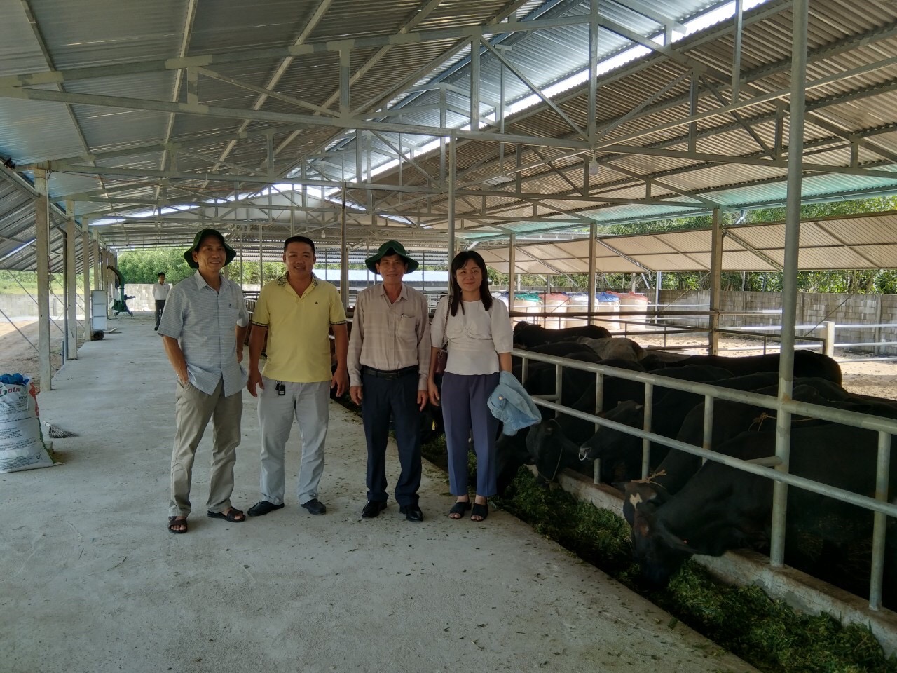 Quảng Ngãi: Cải thiện tiêu chí thu nhập để “nâng tầm” nông thôn mới ở huyện Tư Nghĩa - Ảnh 5.