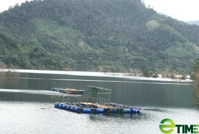 Quảng Ngãi chi ngân sách hỗ trợ nâng tầm hiệu quả nuôi thuỷ sản ở hồ, đập chứa thuỷ lợi - Ảnh 9. Quảng Ngãi chi ngân sách hỗ trợ nâng tầm hiệu quả nuôi thuỷ sản ở hồ, đập chứa thuỷ lợi - Ảnh 9.