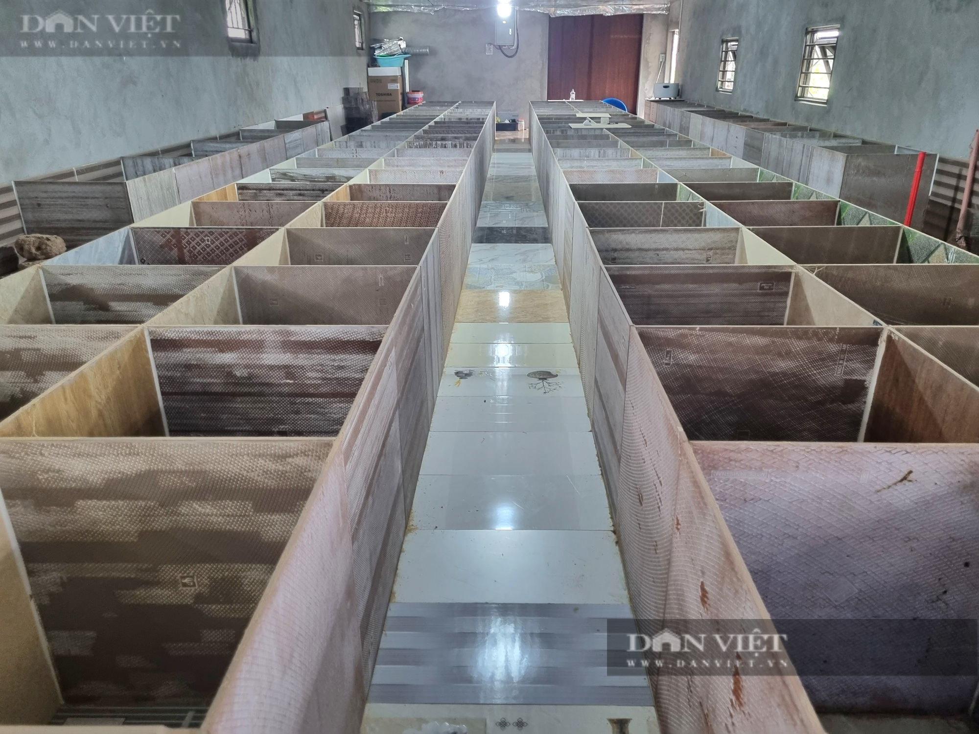 Bỏ nghề kỹ sư xây dựng, 9X Ninh Bình về quê nuôi con dúi mốc lãi 15 triệu đồng/tháng - Ảnh 4.
