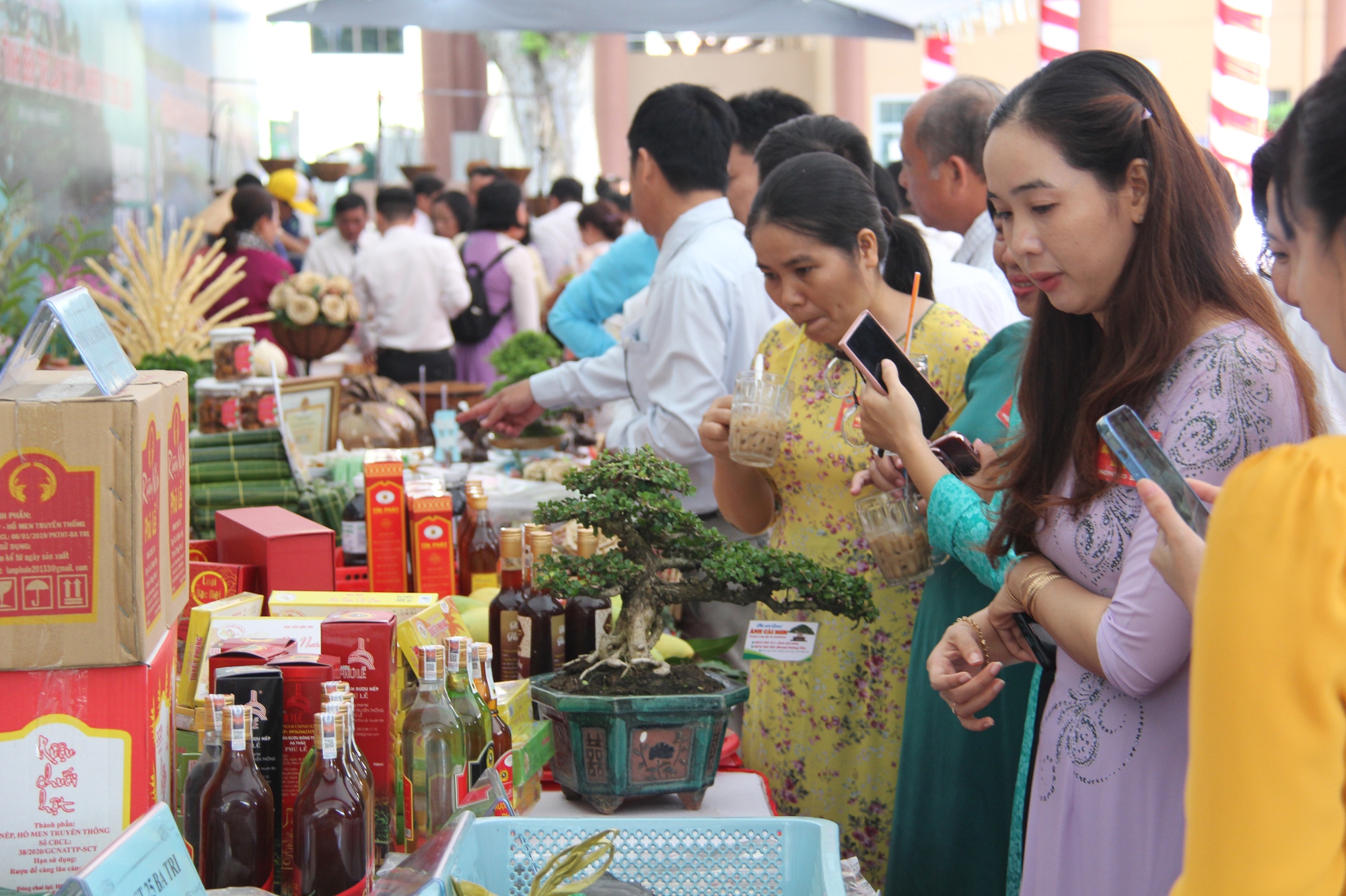 Ngắm đủ loại giống dừa hội tụ tại Đại hội Hội Nông dân tỉnh Bến Tre - Ảnh 13.