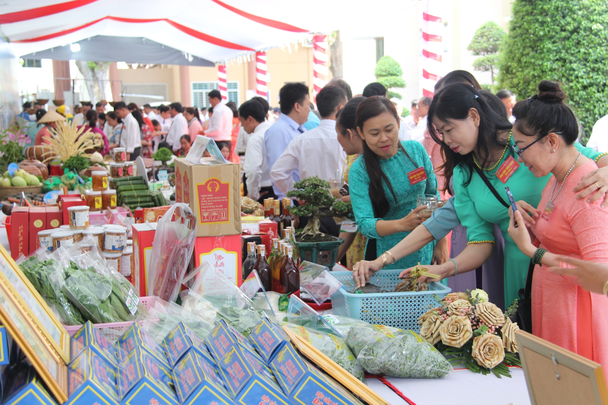 Ngắm đủ loại giống dừa hội tụ tại Đại hội Hội Nông dân tỉnh Bến Tre - Ảnh 14.