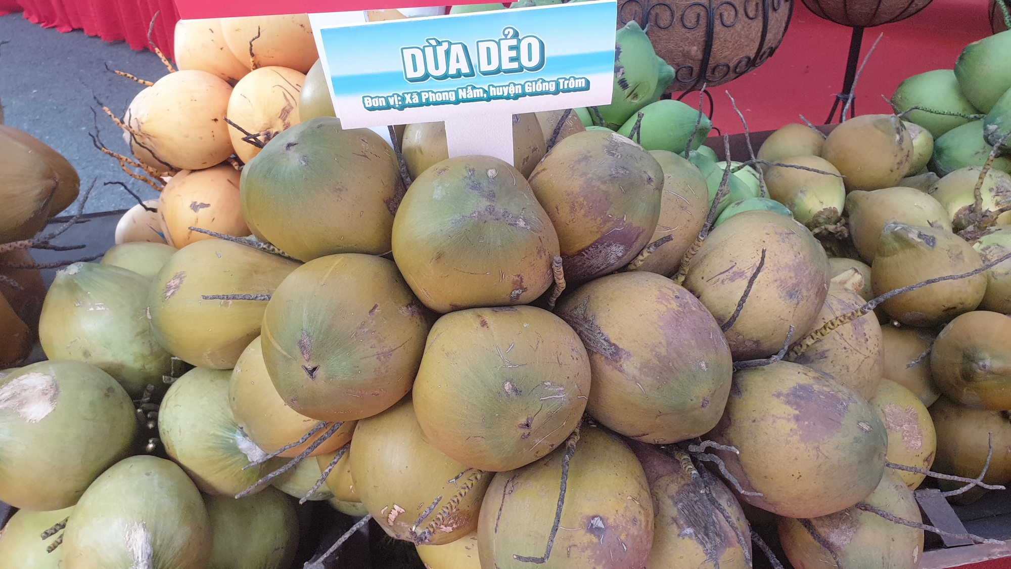 Ngắm đủ loại giống dừa hội tụ tại Đại hội Hội Nông dân tỉnh Bến Tre - Ảnh 6.