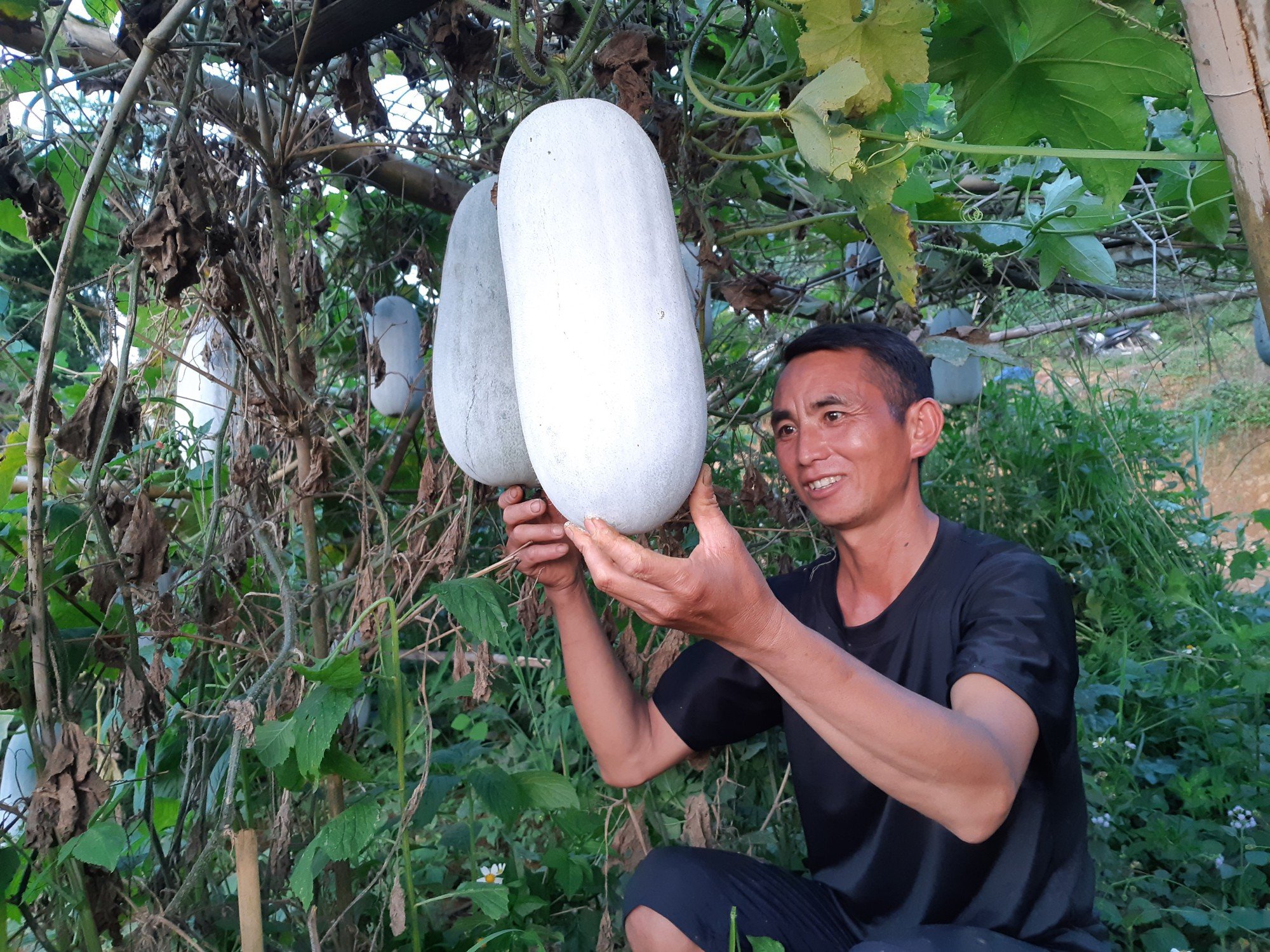 OCOP Hà Giang: Phát triển sản phẩm trên nền tảng số - Ảnh 1.