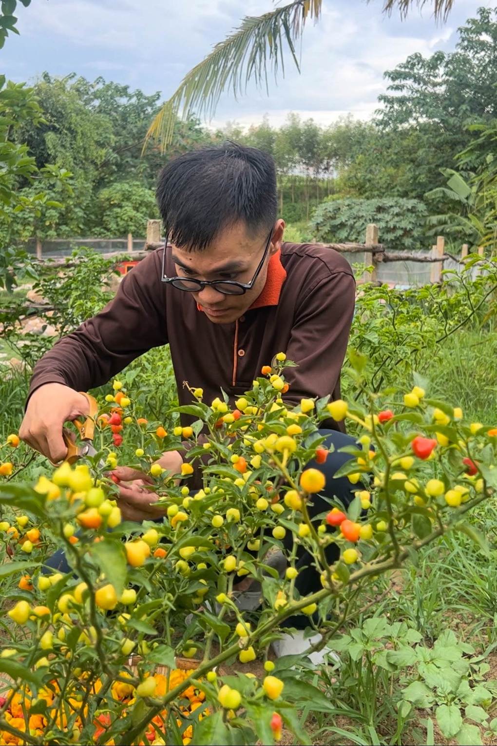 Thạc sĩ bỏ việc lương nghìn USD về quê khởi nghiệp với &quot;hơi thở của rồng&quot; - Ảnh 2.