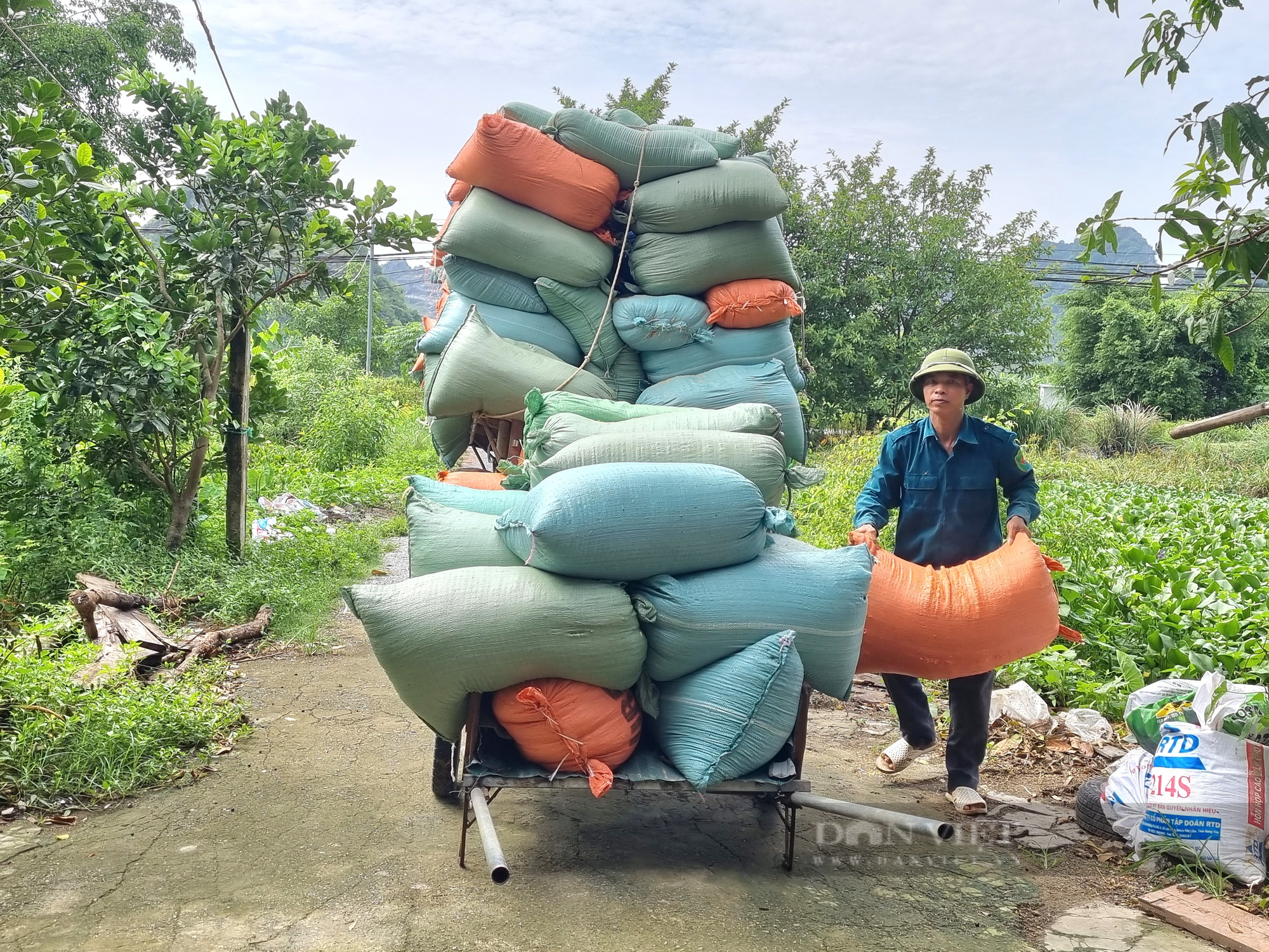 Nuôi gà Ai Cập lông trắng, U50 ở Ninh Bình lãi gần 300 triệu đồng - Ảnh 6.
