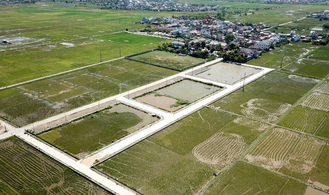 Vụ em trai Phó chủ tịch huyện trúng đấu giá 23 lô đất: Phê bình kế toán xã - Ảnh 1.