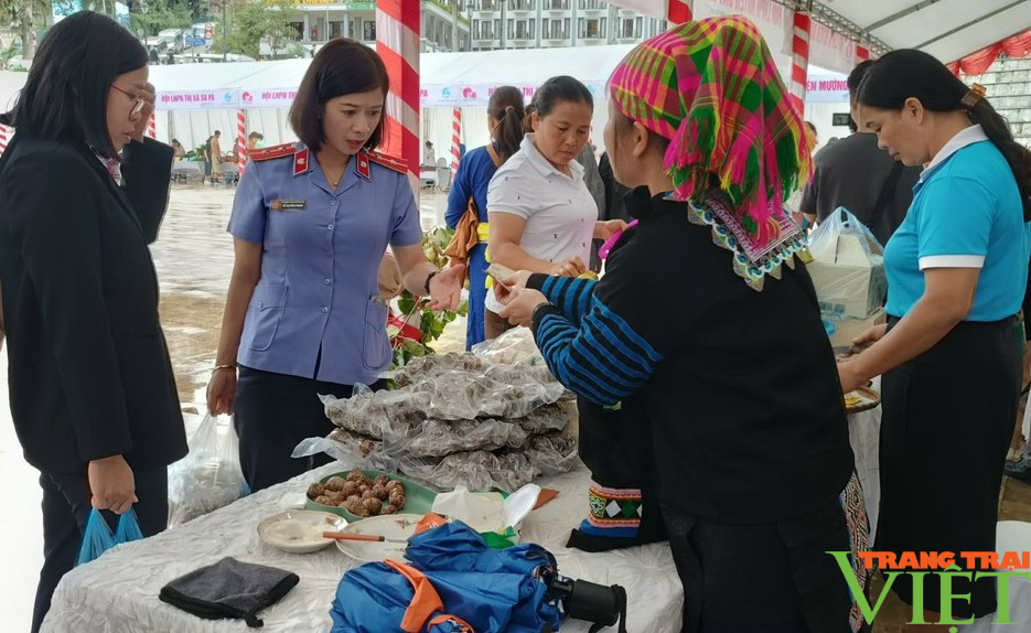 Giới thiệu mô hình phụ nữ phát triển kinh tế hoà nhập cộng đồng cho nạn nhân mua bán người tại Sa Pa - Ảnh 2. Giới thiệu mô hình phụ nữ phát triển kinh tế hoà nhập cộng đồng cho nạn nhân mua bán người tại Sa Pa - Ảnh 2.