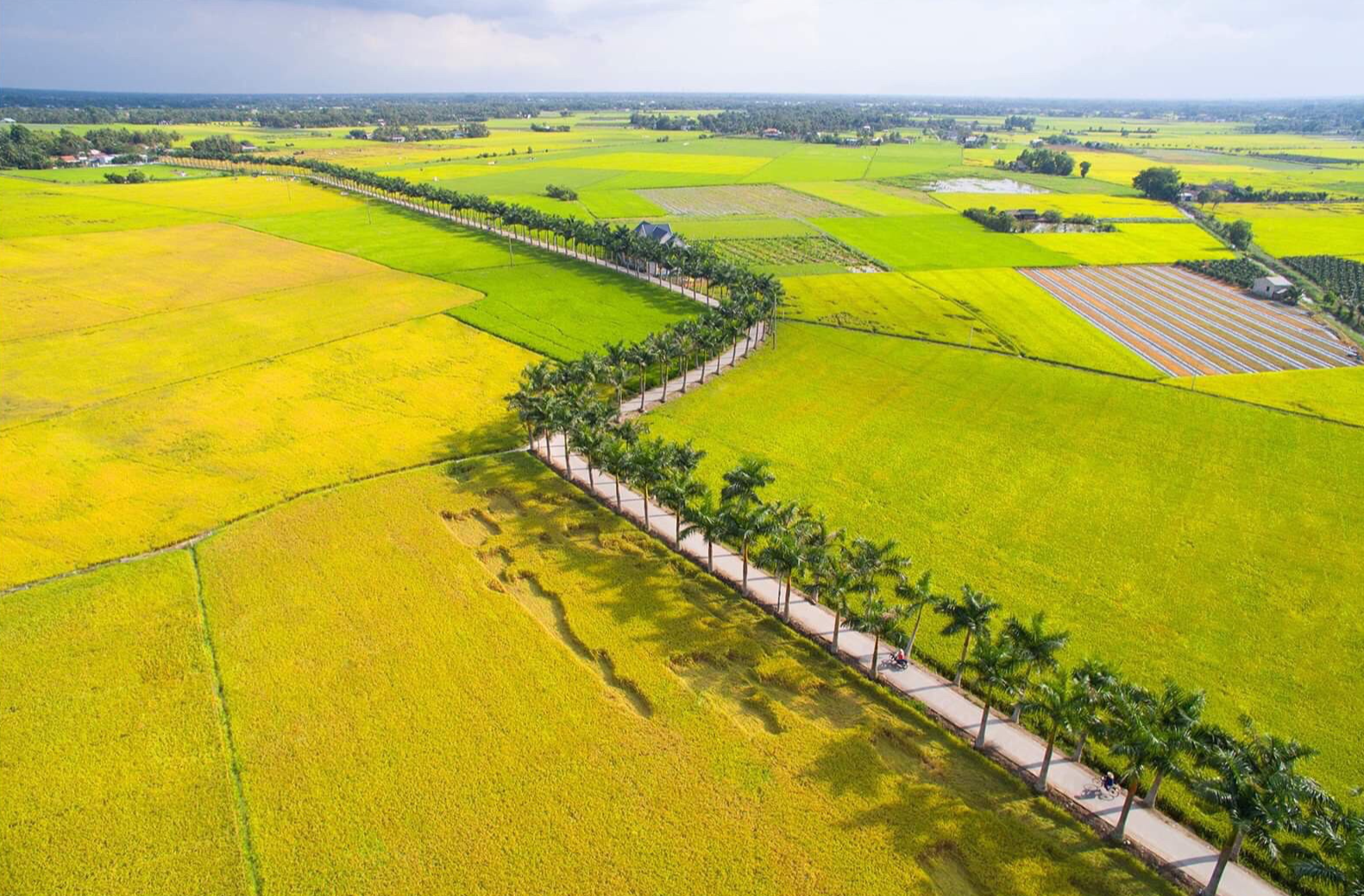 Long An và các tỉnh, thành siết tay làm du lịch  - Ảnh 1.