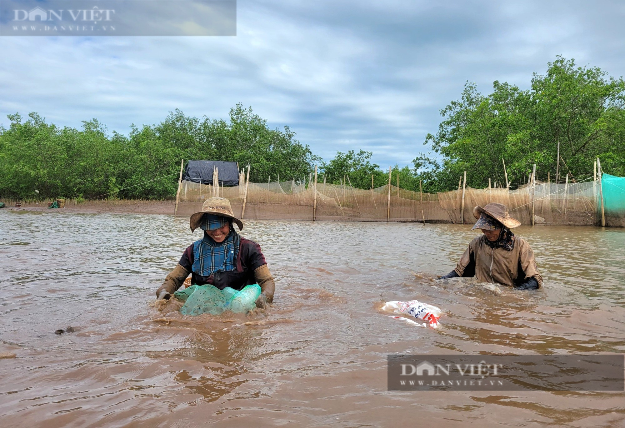 Thu nhập nửa triệu đồng mỗi ngày nhờ “săn” con ngao đất ở Ninh Bình - Ảnh 1.