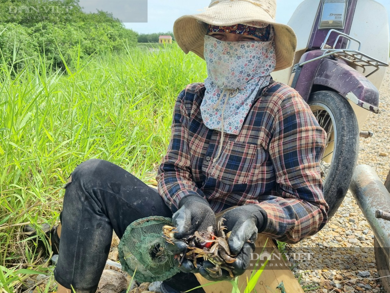 Thu nhập nửa triệu đồng mỗi ngày nhờ “săn” con ngao đất ở Ninh Bình - Ảnh 8.