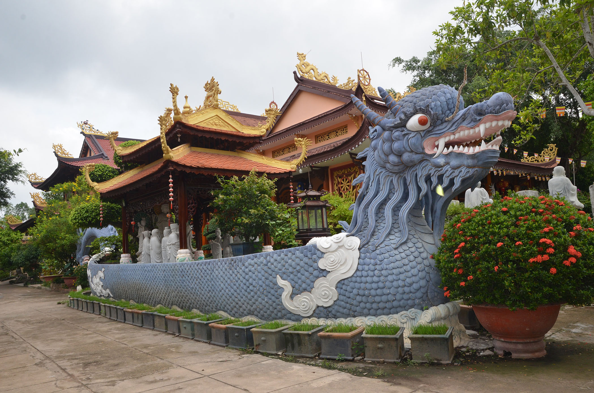Sao Mai Resort Vũng Tàu - &quot;Mang thiên nhiên&quot; vào khu nghỉ dưỡng - Ảnh 4.