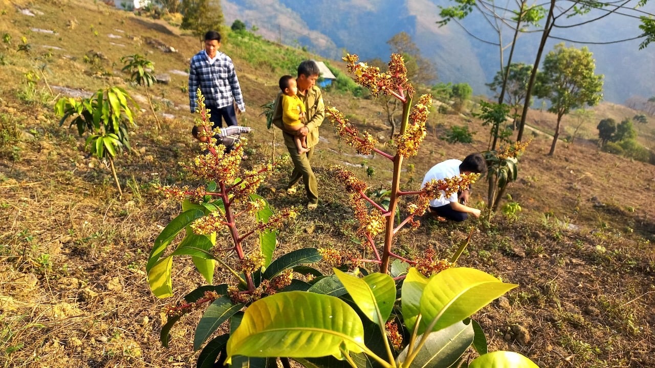 &quot;Vài năm nữa Pà Vầy Sủ sẽ không còn là xã nghèo&quot;   - Ảnh 4.