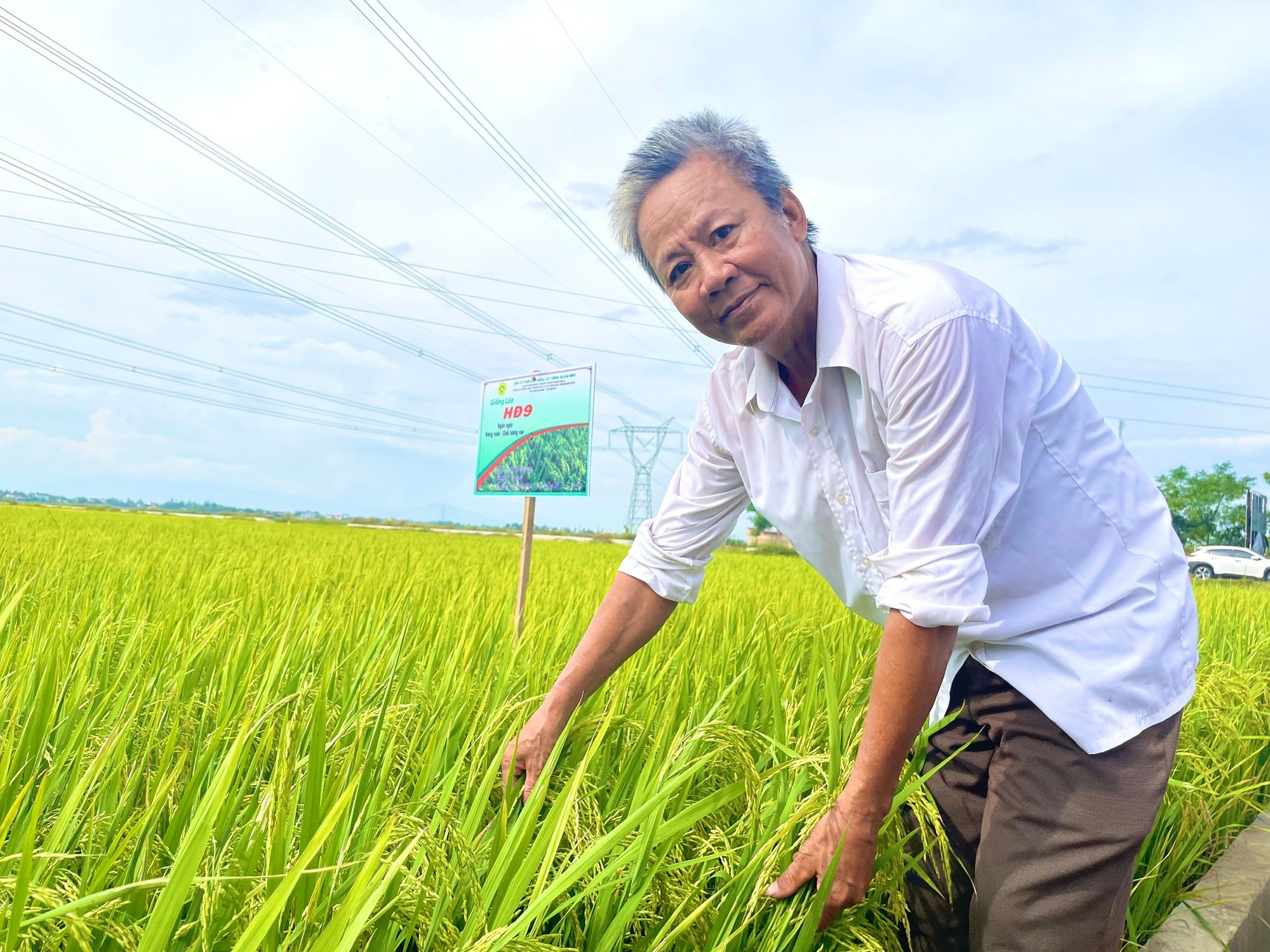 Quảng Bình: Dân trồng giống lúa mới này, thấy cây phát triển tốt, lúa trĩu bông, cho năng suất cao - Ảnh 3. Quảng Bình: Dân trồng giống lúa mới này, thấy cây phát triển tốt, lúa trĩu bông, cho năng suất cao - Ảnh 3.