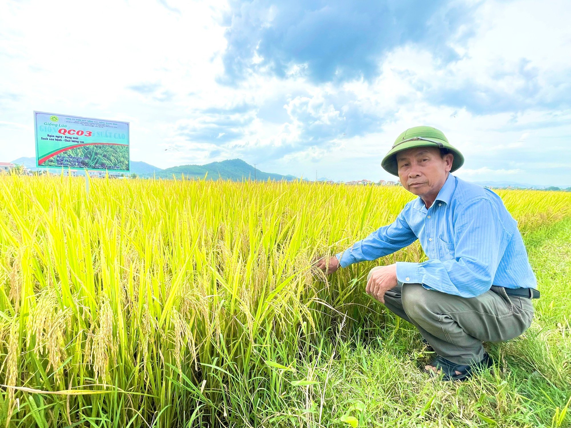Quảng Bình: Dân trồng giống lúa mới này, thấy cây phát triển tốt, lúa trĩu bông, cho năng suất cao - Ảnh 2. Quảng Bình: Dân trồng giống lúa mới này, thấy cây phát triển tốt, lúa trĩu bông, cho năng suất cao - Ảnh 2.