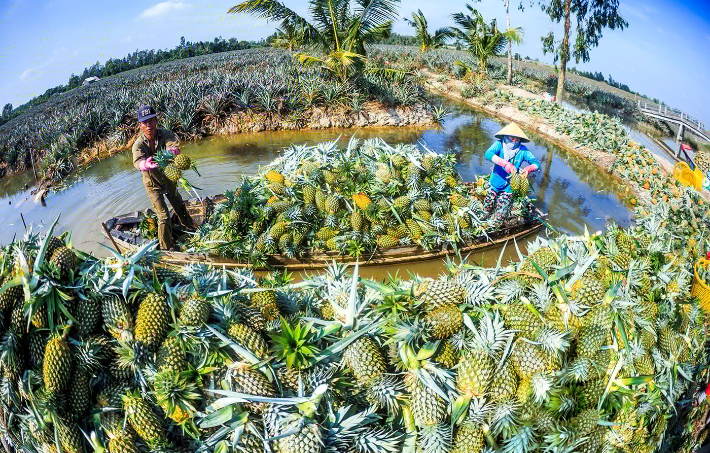 OCOP Hậu Giang: Con đường ngắn nhất để giới thiệu sản phẩm chất lượng tới tay người tiêu dùng - Ảnh 2.