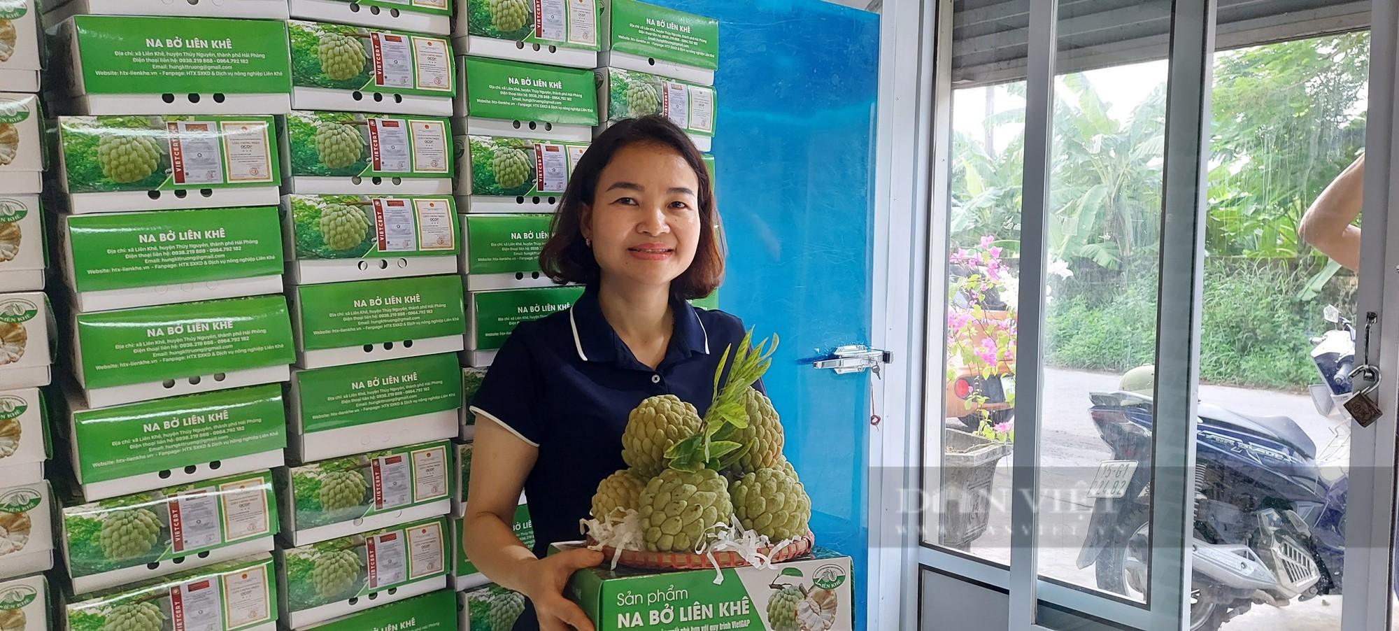Nông dân Thủy Nguyên, Hải Phòng trồng thứ cây quả xù xì nhiều mắt, đến vụ thu hoạch cũng lãi 9 -10 triệu đồng/ sào. - Ảnh 8.