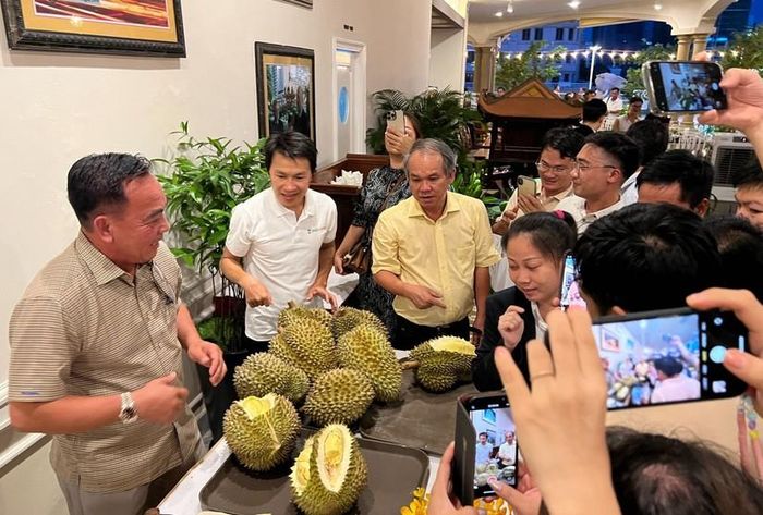 Công ty CP Hoàng Anh Gia Lai bị nghi ngờ khả năng hoạt động liên tục, tuyên bố vẫn trả được nợ - Ảnh 2.