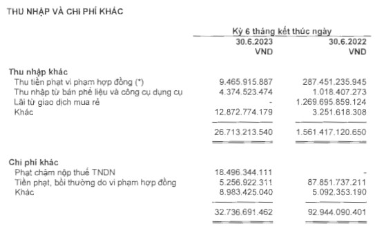 Lý do gì Novaland (NVL) lỗ thêm gần 500 tỷ sau kiểm toán? - Ảnh 2.