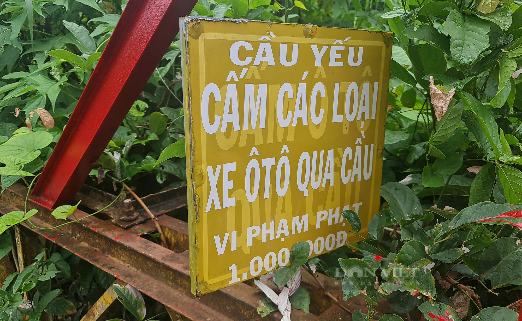 Ớn lạnh khi đi qua cây cầu Tổng Đội, tấm sắt vênh lên mặt cầu gần 1 gang tay - Ảnh 10.