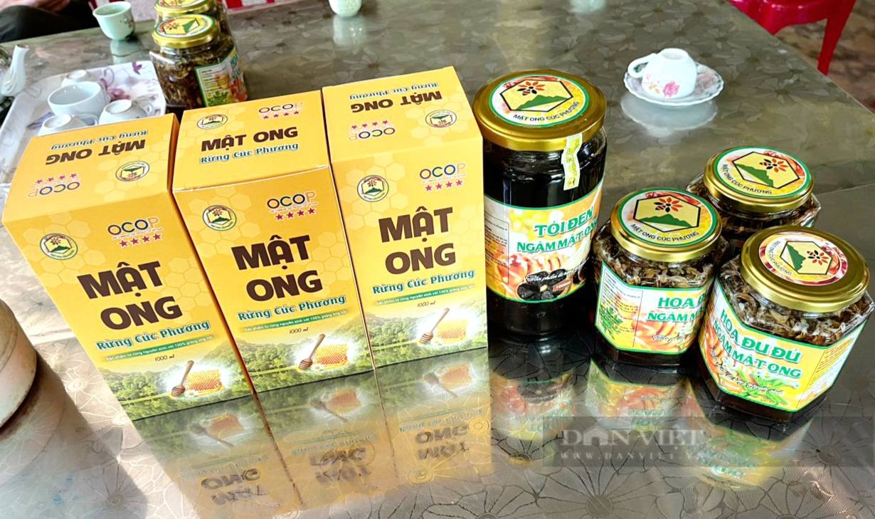 Ninh Bình: Nhiều xã công nhận nông thôn mới nâng cao, kiểu mẫu, thu nhập bình quân từ 68-75 triệu đồng - Ảnh 3.