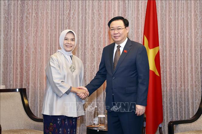 Chủ tịch Quốc hội Vương Đình Huệ tiếp Chủ tịch Ủy ban Kiểm toán Indonesia - Ảnh 1.