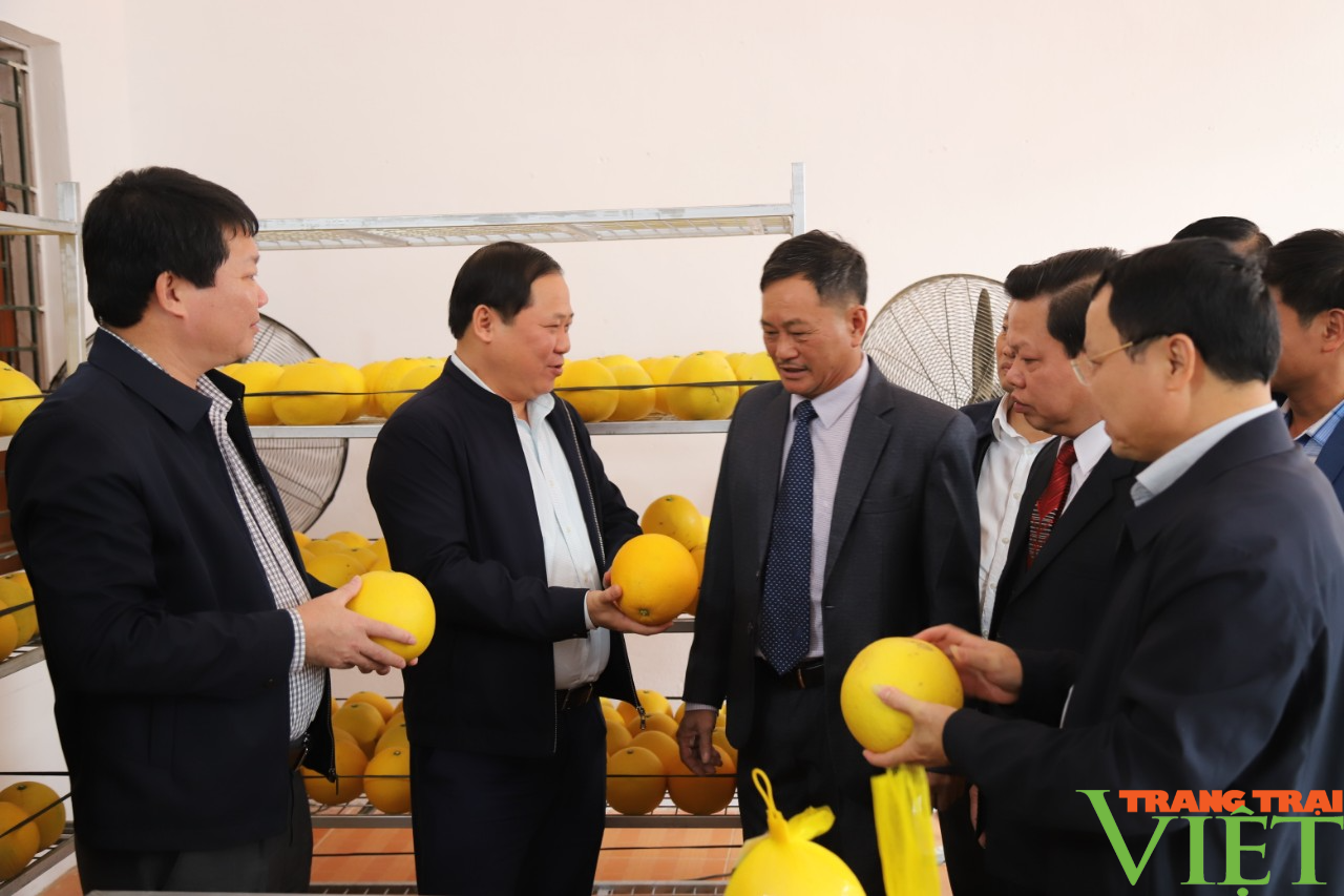 Hòa Bình có trên 181 nghìn hộ đạt danh hiệu sản xuất, kinh doanh giỏi các cấp - Ảnh 3. Hòa Bình có trên 181 nghìn hộ đạt danh hiệu sản xuất, kinh doanh giỏi các cấp - Ảnh 3.