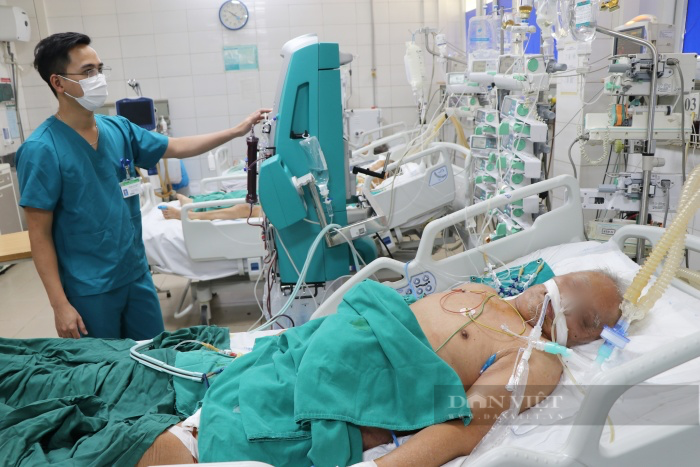 Tại sao không ăn tiết canh, đồ tái vẫn có người người bị nhiễm khuẩn liên cầu lợn? - Ảnh 1.