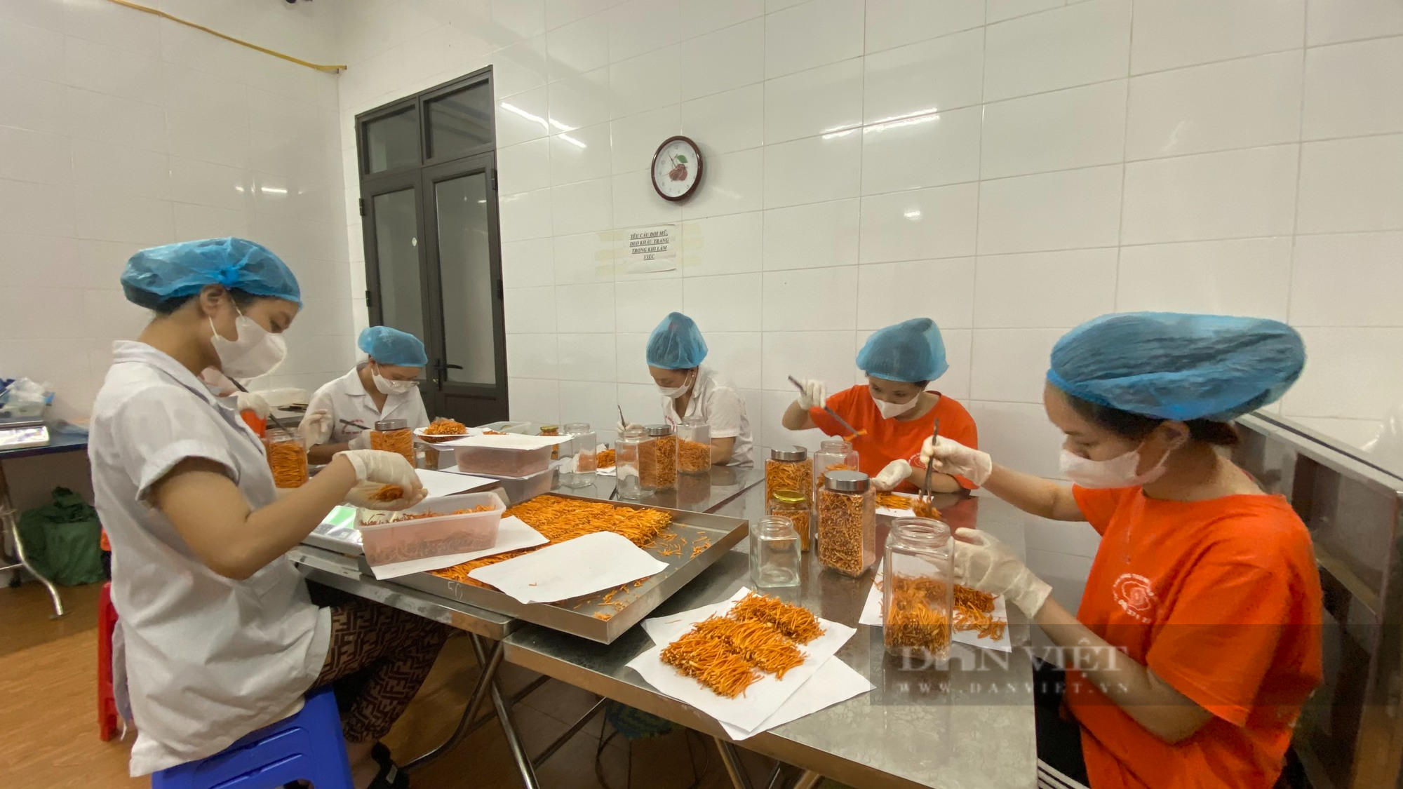 Nông dân Việt Nam xuất sắc đến từ Lai Châu là người giỏi trồng nấm đông trùng hạ thảo - Ảnh 2.