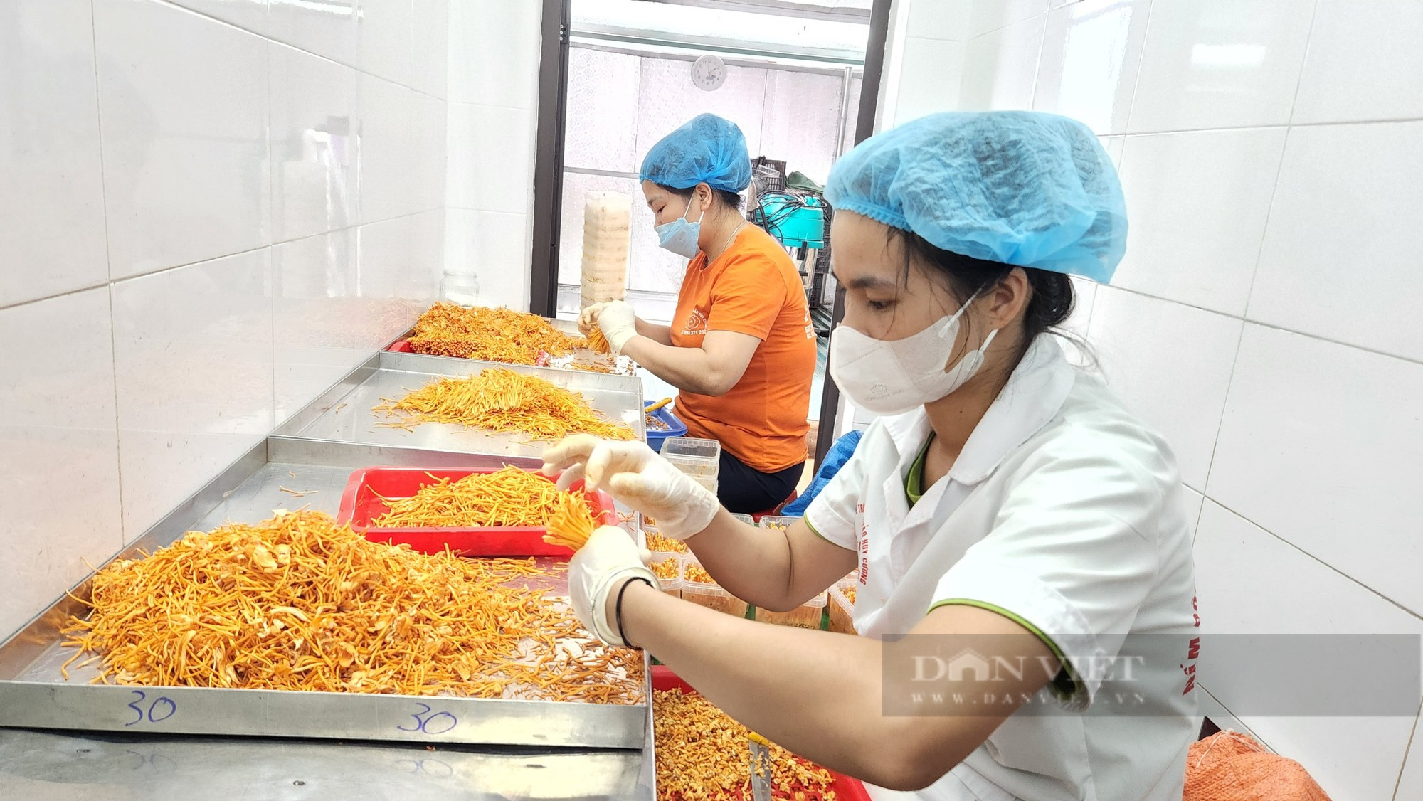 Nông dân Việt Nam xuất sắc đến từ Lai Châu là người giỏi trồng nấm đông trùng hạ thảo - Ảnh 5.