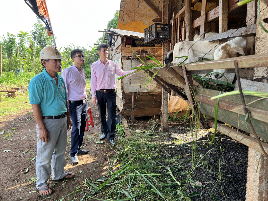 Trao &quot;cần câu&quot;, mở lối thoát nghèo bền vững cho người dân Đắk Lắk - Ảnh 4.